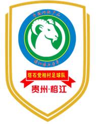 党相村足球队